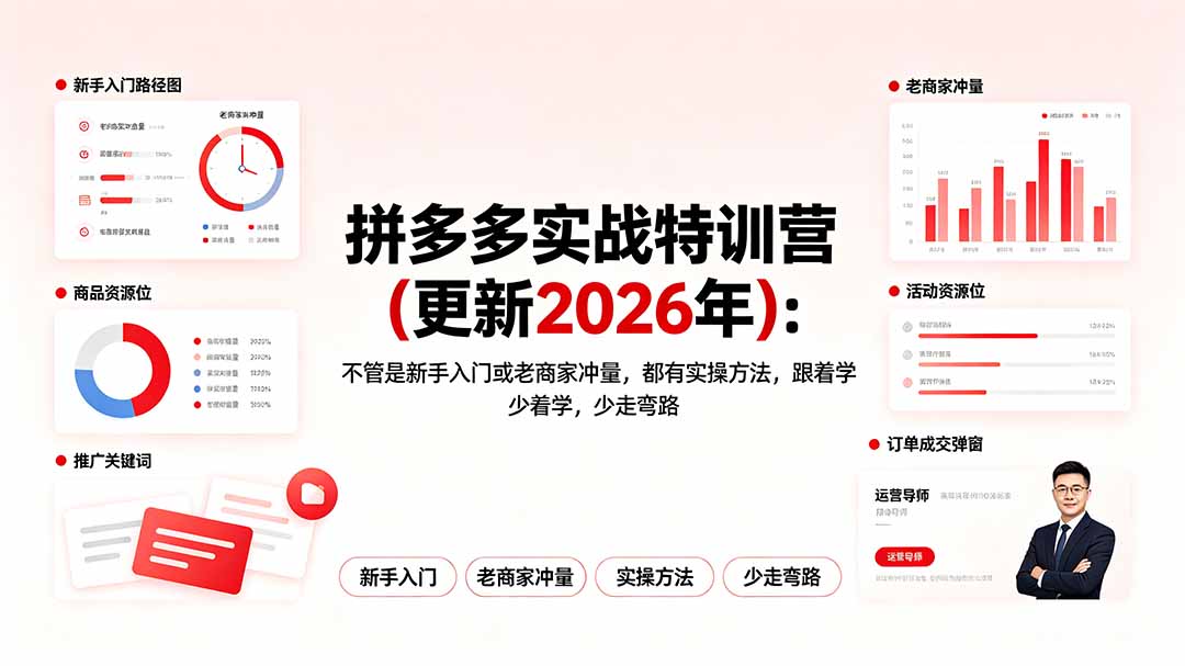 拼多多实战特训营(更新2026年-小白项目网
