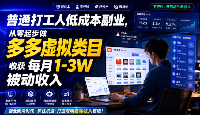 普通打工人低成本副业，从零起步做多多虚拟类目，收获每月1-3W被动收入【揭秘】-小白项目网