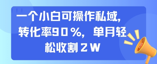 一个小白可操作私域，转化率90%，单月轻松收割2W - 小白项目网-小白项目网