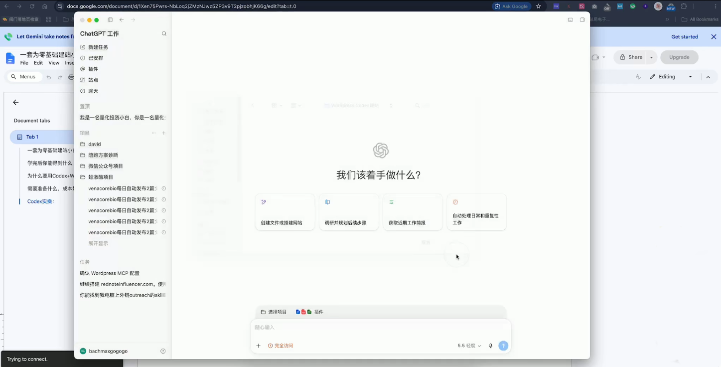 外贸人Codex + WordPress建站课-小白项目网