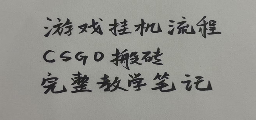 游戏挂机全流程笔记分享，CSGO游戏搬砖，小白看了当天学会见收益-小白项目网