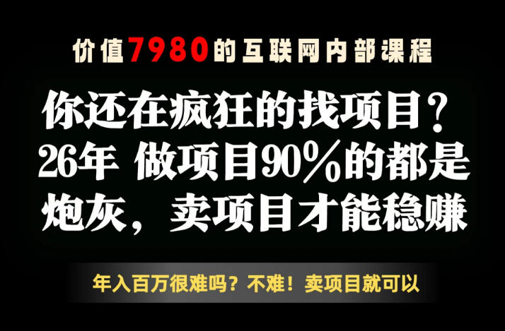 26年请不要疯狂的找项目了，卖项目远比你想象的暴利，你也可以月入10W+【揭秘】-小白项目网