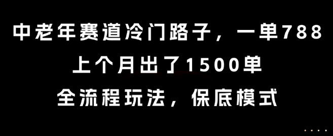 中老年赛道冷门路子，一单788，上个月出了1500单，全流程玩法，保底模式【揭秘】-小白项目网