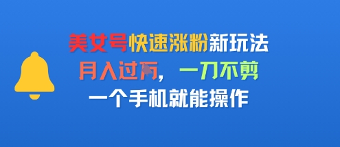 美女号快速涨粉新玩法，月入过W，一刀不剪，一个手机就能操作-小白项目网
