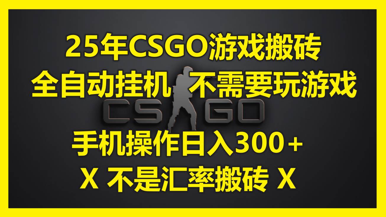 （14902期）25年CSGO游戏搬砖，全自动挂机，不需要玩游戏，手机操作日入300+。(不…-小白项目网