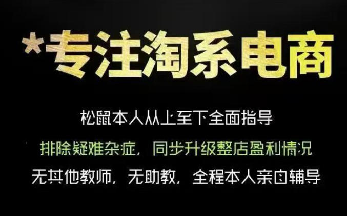 松鼠会电商VIP课程，从基础布局到高阶优化，助你掌握淘宝运营逻辑，提升店铺流量与转化(更新0815)-小白项目网