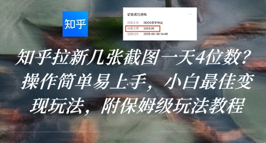 知乎拉新几张截图一天4位数？操作简单易上手，小白最佳变现玩法，附保姆级玩法教程-小白项目网