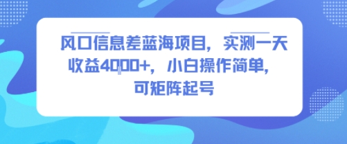 风口信息差蓝海项目，实测一天收益4k+，小白操作简单，可矩阵起号 - 小白项目网-小白项目网
