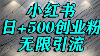 小红书无限引流创业粉,单人操作日引500+精准创业粉