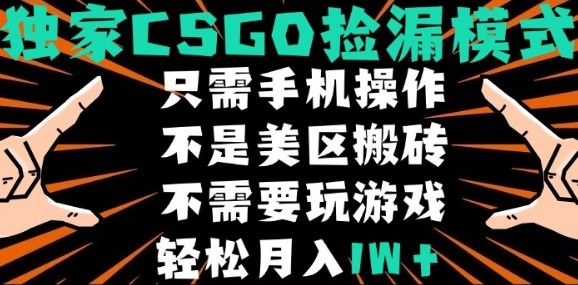 CSGO自动捡漏项目，最新独家玩法，不是美区搬砖，不需要了解和玩游戏，新手小白轻松月入1W+【揭秘】-小白项目网