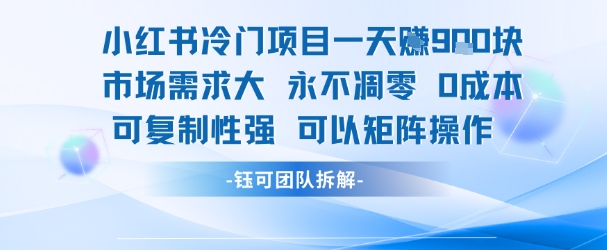 小红书冷门项目一天收益9张，市场需求大，0成本，可复制性强可以矩阵操作-小白项目网