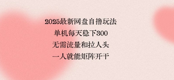 2025最新网盘自撸玩法，单机每天稳下3张，无需流量和拉人头，一个人就可轻松矩阵，全网独一份【揭秘】-小白项目网