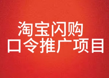 淘宝闪购口令推广项目，收益可观，一部手机，一个抖音号即可操作 - 小白项目网-小白项目网