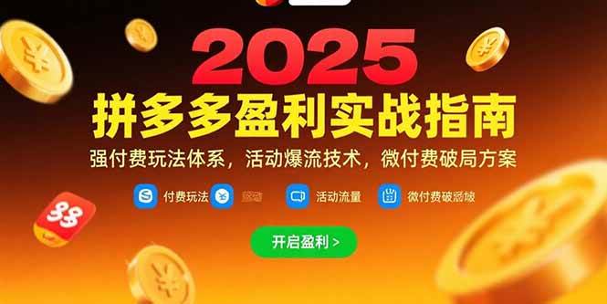 （15357期）拼多多盈利实战指南，强付费玩法，活动爆流技术，微付费破局方案(更新7月) - 小白项目网-小白项目网