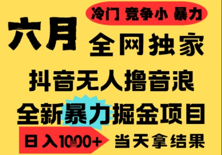 25年6月高爆抖音无人直播最新撸音浪掘金项目，小白可做，无脑日入1k+，门槛低可批量矩阵【揭秘】 - 小白项目网-小白项目网