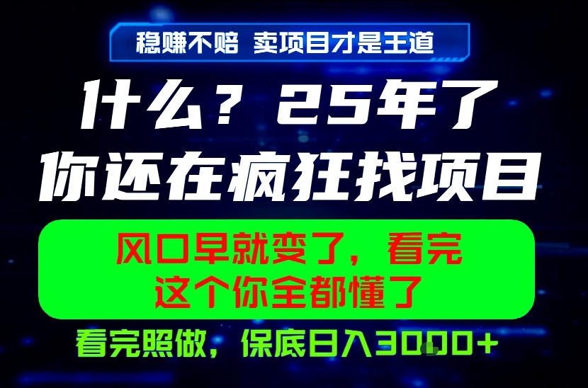 26年,请不要疯狂的找项目做了!卖项目才是真的稳賺不赔,看完照做,保底日入1k+【揭秘】-小白项目网