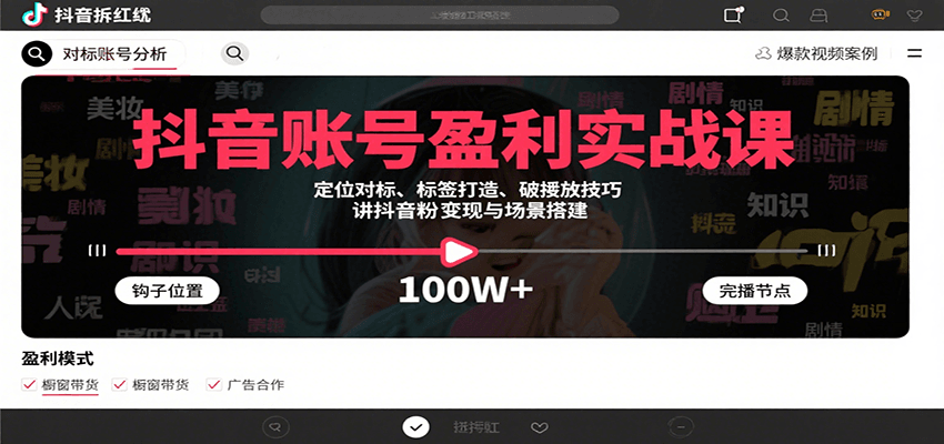 抖音账号盈利实战课，定位对标、标签打造、破播放技巧，讲涨粉变现与场景搭建-小白项目网