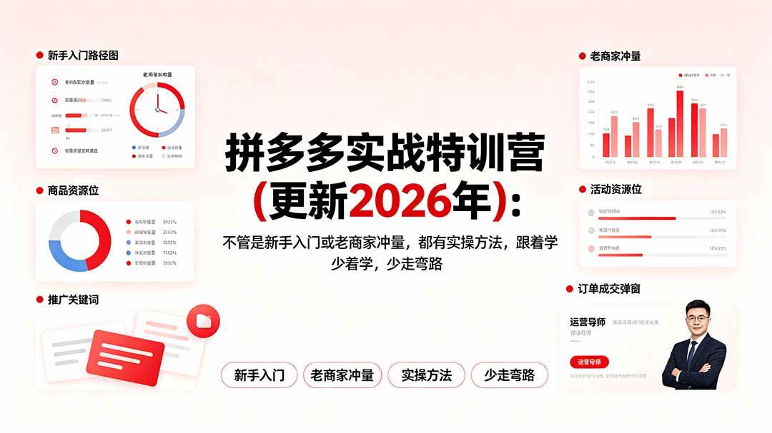 （19291期）拼多多实战特训营(更新2026年)：不管是新手入门或老商家冲量，都有实操方法，跟着学，少走弯路-小白项目网