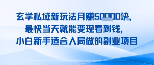 玄学私域新玩法月入1W+，最快当天就能变现看到米，小白新手适合入局做的副业项目-小白项目网