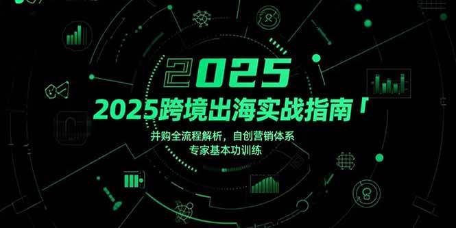 （15503期）2025跨境出海实战指南，并购全流程解析，自创营销体系，专家基本功训练-小白项目网