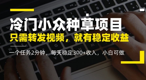 冷门小众种草项目，只需转发视频，每天就有稳定收益，无门槛，每天稳定3张+收入，小白可做-小白项目网