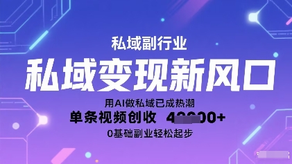 私域变现新风口：用AI做私域已成热潮，单条视频创收1k+，0基础副业轻松起步-小白项目网