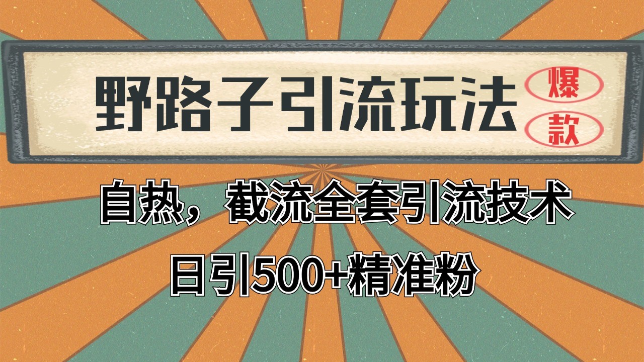 2024首发野路子引流玩法截流自热全平台打法，全自动引流【日引2000+精准客户】-小白项目网