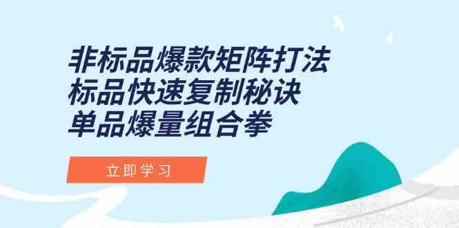 非标品爆款矩阵打法，标品快速复制秘诀，单品爆量组合拳-小白项目网