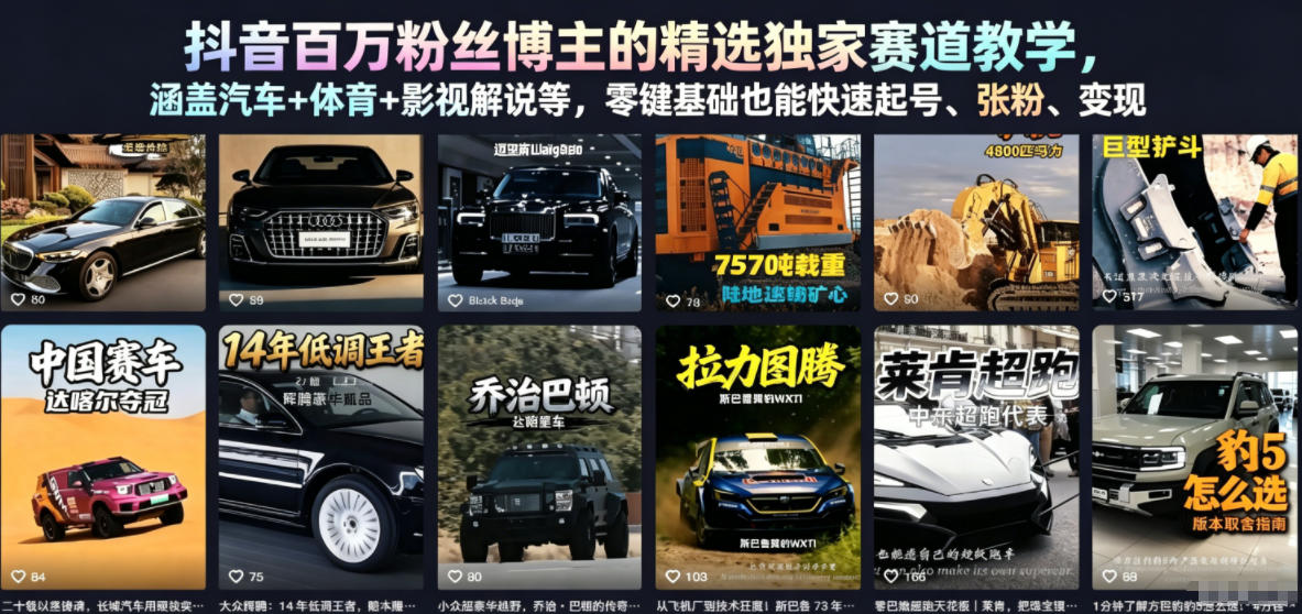 抖音百万粉丝博主的精选独家赛道教学，涵盖汽车+体育+影视解说等，零基础也能快速起号、涨粉、变现（更新0701）-小白项目网