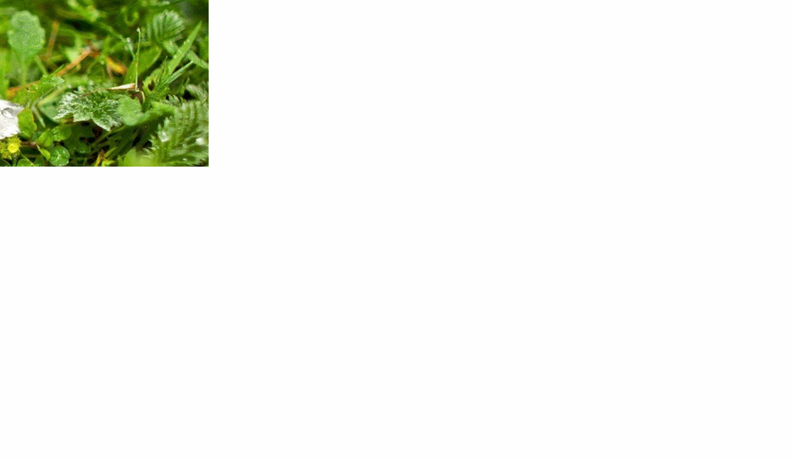 抖音热门很火的表白整蛊源码-小白项目网