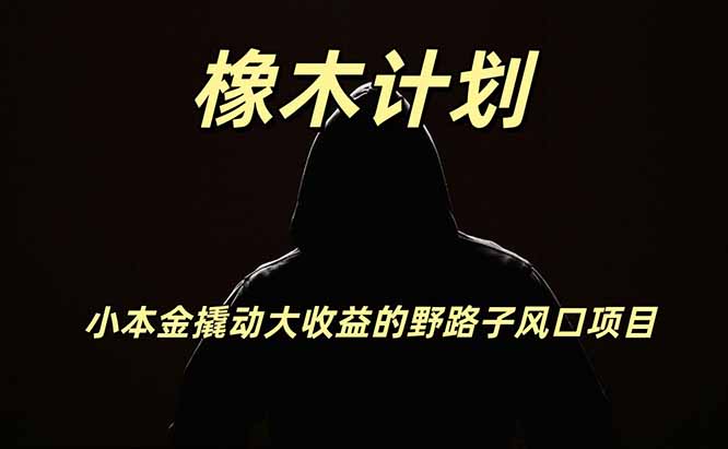 橡木计划，小投入撬动高回报的风口野路子项目，一天投入2小时左右-小白项目网