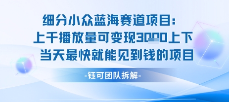 小众蓝海赛道项目：当天变现1k+适合新手操作 +适合长期玩-小白项目网