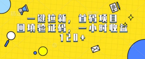 一键拉新，首码项目，回填验证码，一小时收益1张 - 小白项目网-小白项目网