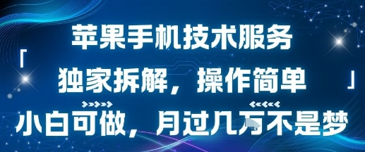 苹果手机技术服务，独家拆解，操作简单，小白可做，月过1W不是梦-小白项目网