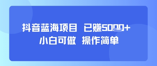 抖音蓝海项目，小白可做，操作简单，可批量制作，已挣5k+-小白项目网