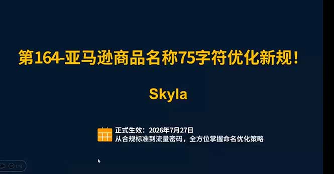 亚马逊跨境实战课:全品类选品逻辑|SP/SB/SD广告精细化|新品打爆旺季爆单全套运营教程-小白项目网