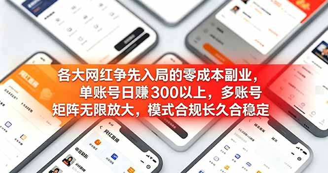 各大网红争先入局的零成本副业，单账号日赚 300 以上，多号矩阵可放大，模式合规长久稳定！-小白项目网