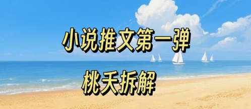 小说推文项目操作全流程第一弹，0粉就能做，门槛低非常适合新手-小白项目网