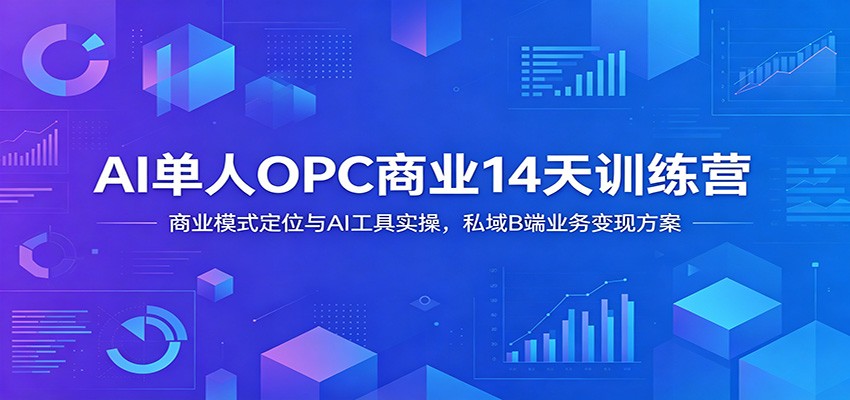 AI单人OPC商业14天训练营:商业模式定位与AI工具实操,私域B端业务变现方案-小白项目网