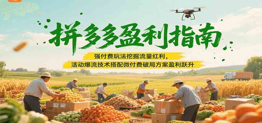 拼多多盈利指南：强付费玩法挖掘流量红利，活动爆流技术搭配微付费方案实现盈利跃升-小白项目网