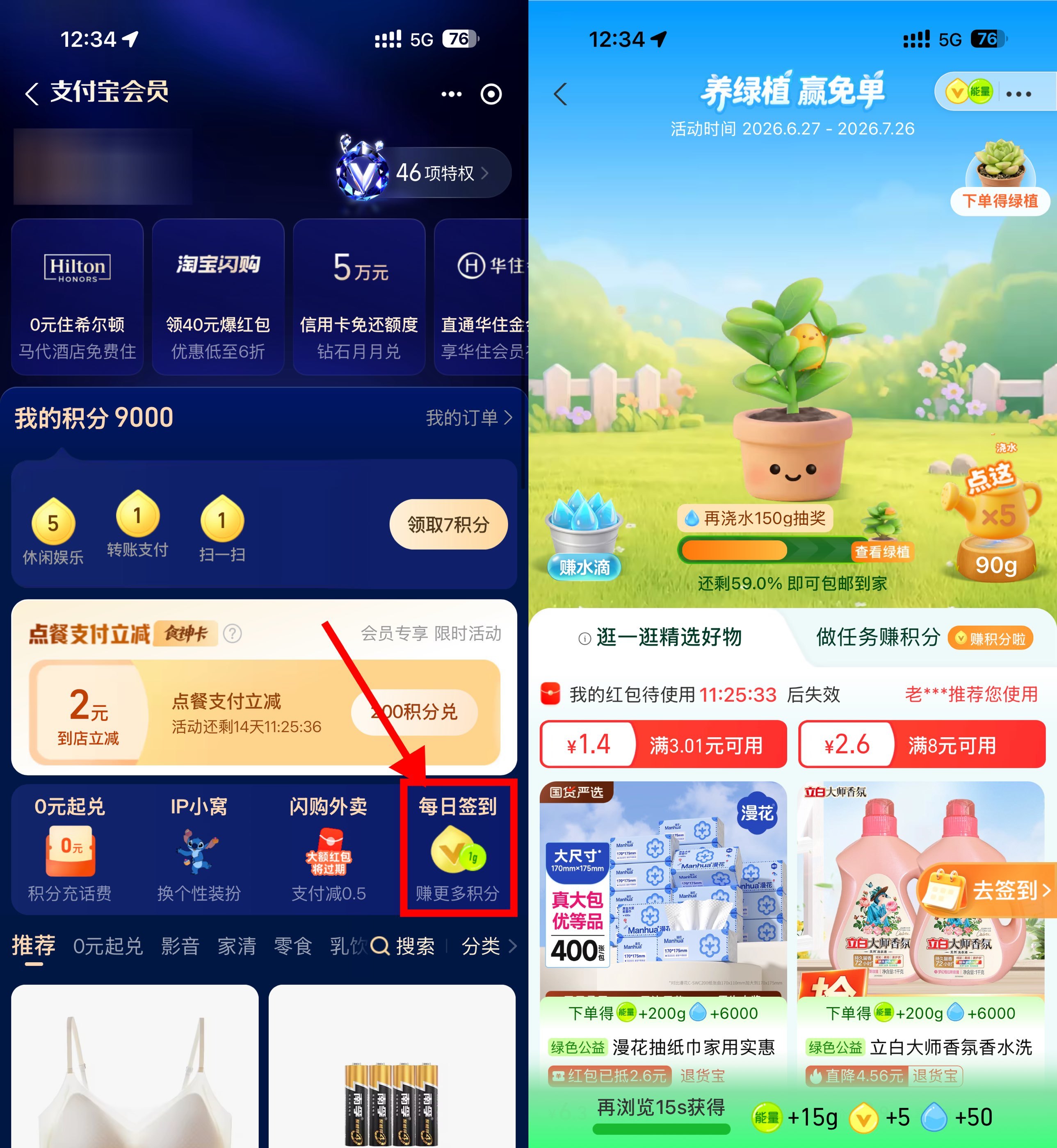 支付宝养绿植领实物绿植免单-小白项目网