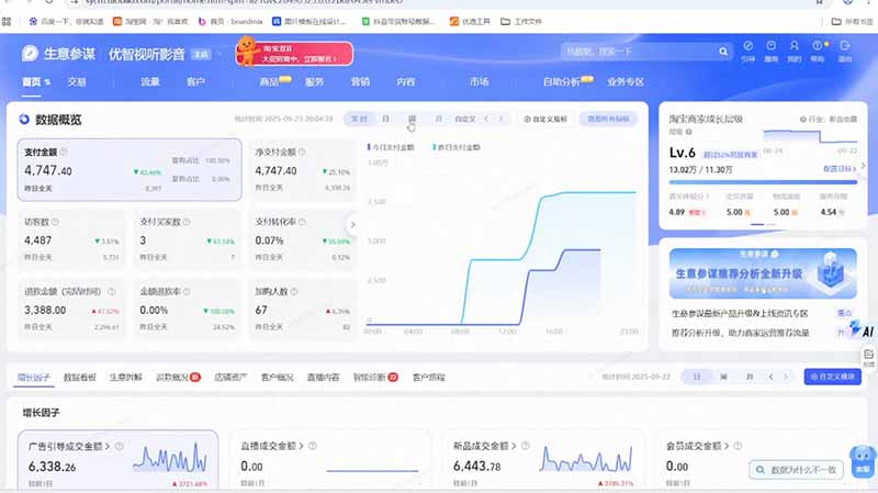 淘宝VIP特训课-更新:蓝海选品+付费投放|短视频AI运营|大促起爆全流程,破解店铺无流量无利润难题-小白项目网