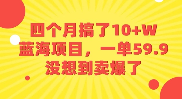 四个月搞了10+W的蓝海项目，一单59.9米，没想到卖爆了-小白项目网