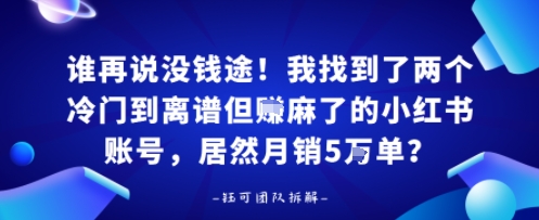 谁再说没钱途！我找到了两个冷门到离谱但賺麻了的小红书账号，居然月销5W单？-小白项目网