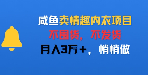 咸鱼卖情趣内衣项目,不囤货,不发货,月入3W+,悄悄做