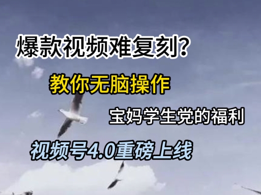 视频号4.0重磅上线，爆款视频难复刻？教你无脑操作宝妈学生党的福利【揭秘】-小白项目网
