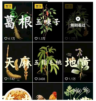 抖音中草药赛道，用AI做中草药故事视频，45条作品涨粉13W，橱窗带货猛猛出单-小白项目网