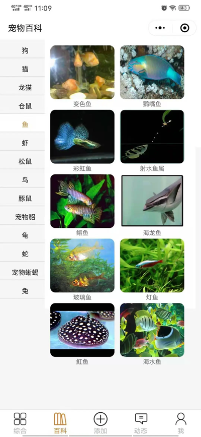 开源宠物社区微信小程序源码 - 小白项目网-小白项目网