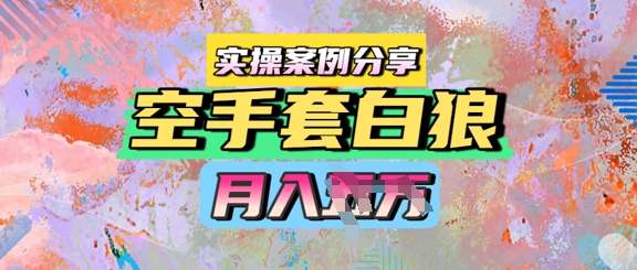 空手套白狼，月入过1W，实操案例分享-小白项目网