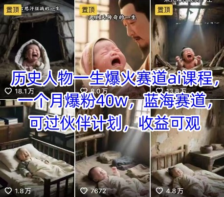 历史人物一生爆火赛道ai课程，一个月爆粉40w，蓝海赛道，可过伙伴计划，收益可观-小白项目网